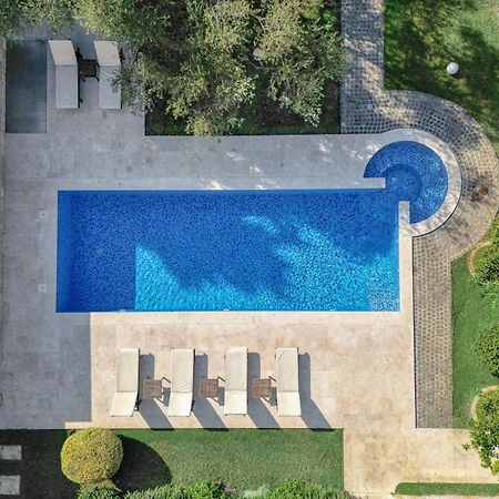 Villa Zen Port Petrovac Dış mekan fotoğraf