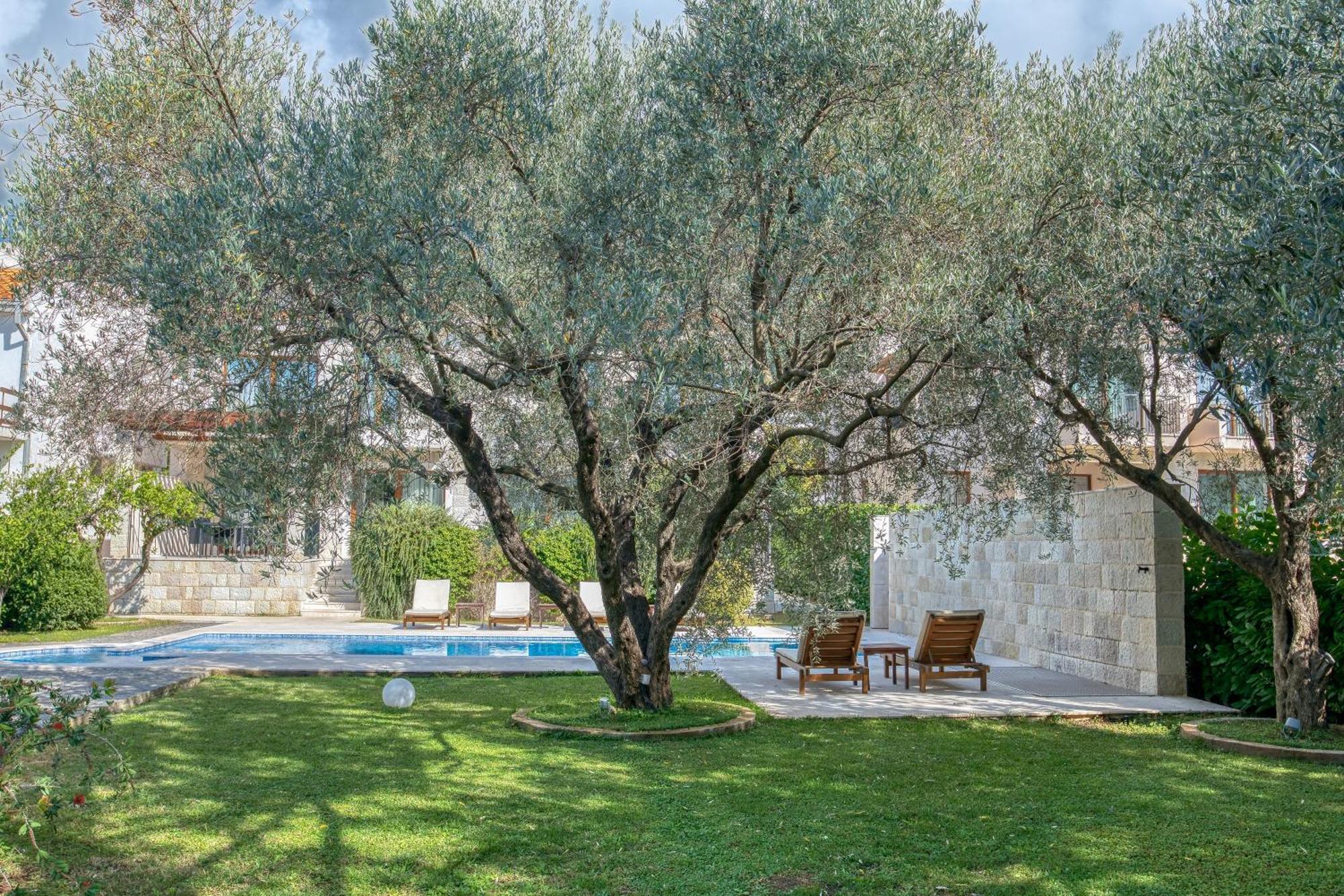 Villa Zen Port Petrovac Dış mekan fotoğraf